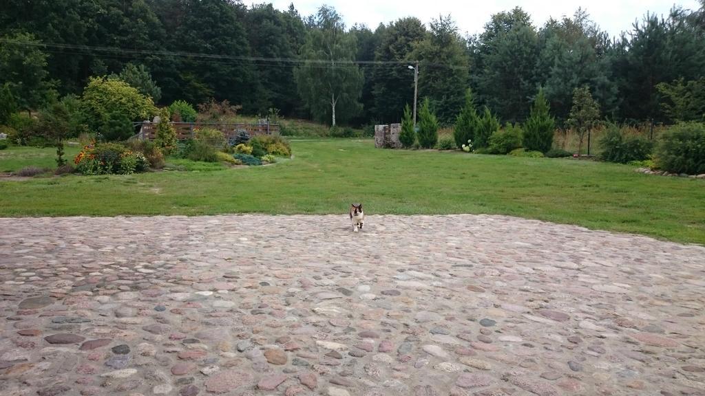 Modrzewiowa ChataZaborze  エクステリア 写真